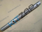     (TAGC) 42